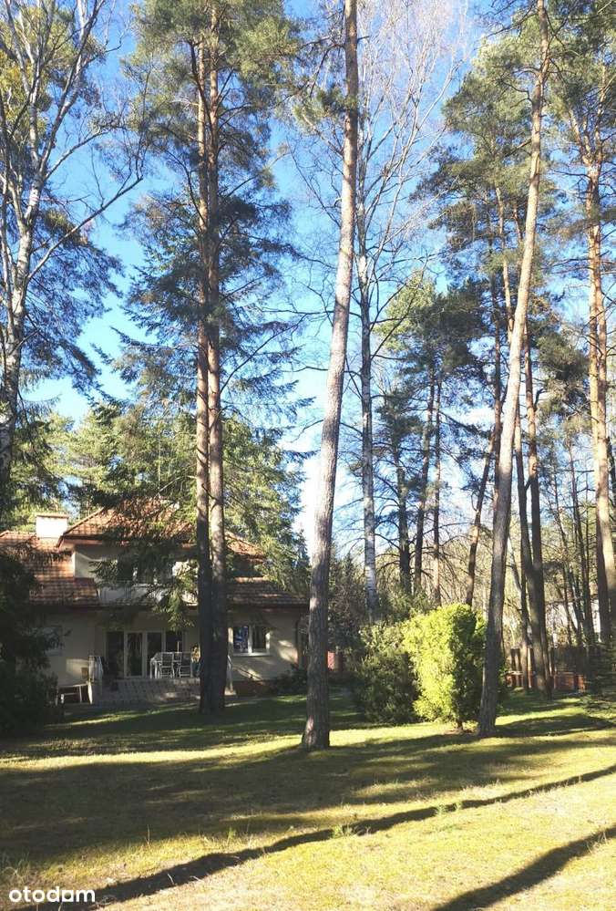 Przestronny dom Konstancin starodrzew-2