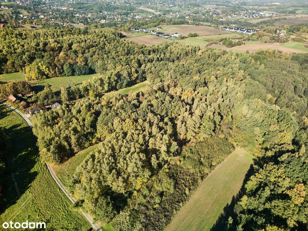 Działka rekreacyjna w cichej okolicy-1