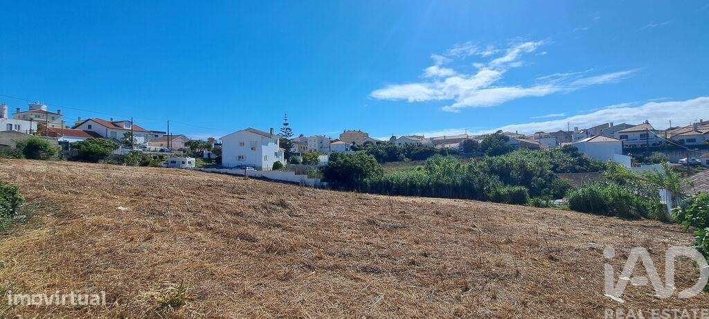 Quinta T4 em Encarnação de 189,00 m2 - Grande imagem: 4/28