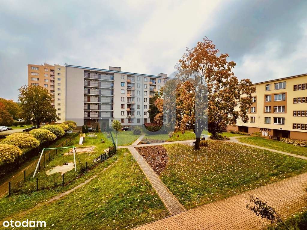 Okazja / Centrum miasta / Po remoncie - Pełny obrazek: 5/6