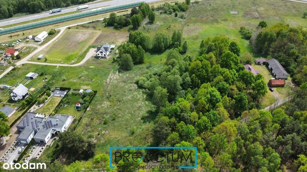 Działka w malowniczym miejscu blisko lasu. - Pełny obrazek: 5/5