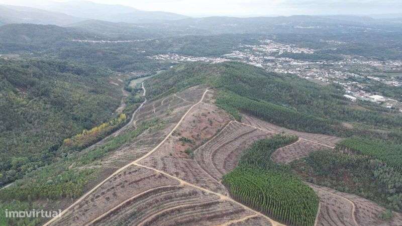 Oportunidade! Terreno Legalizado com Potencial de Construção – Arganil - Grande imagem: 4/6