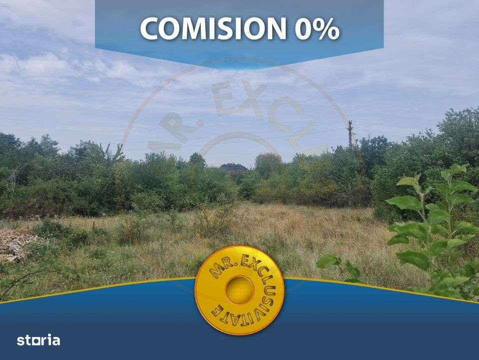 TEREN POIANA LACULUI - Imagine principală: 1/4