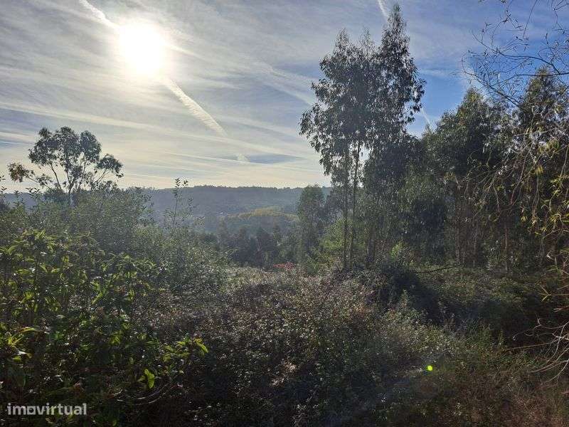 Vendo terreno urbano em monte cordova com casa para restauro - Grande imagem: 4/5