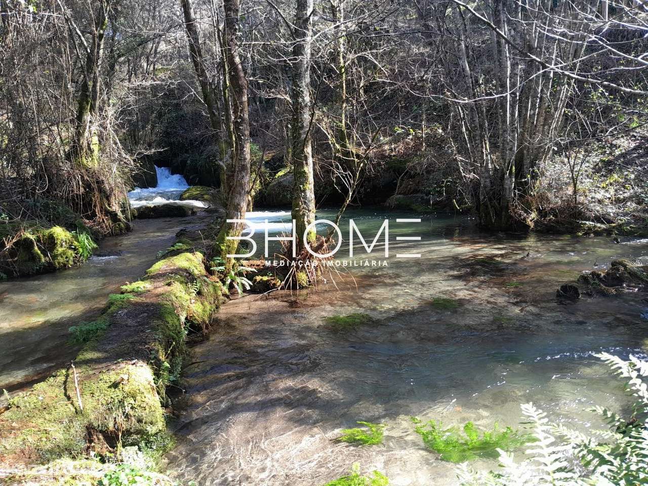 Quinta c/ 18.000m2, Casa Recuperada, c/ Moinhos, localizada em Ribeiro-28