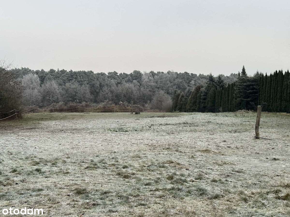 PoznaŃ, Strzeszyn, rezydencyjna, przy lesie - Pełny obrazek: 4/11