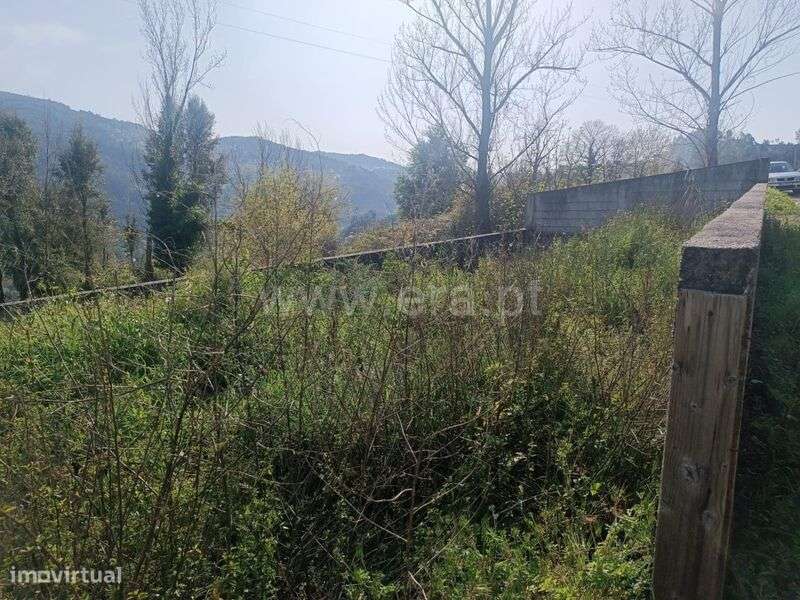 Terreno / Marco de Canaveses, Penhalonga e Paços de Gaiolo - Grande imagem: 5/6