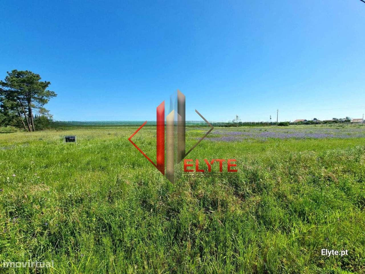 Terreno industrial em Benavente-6