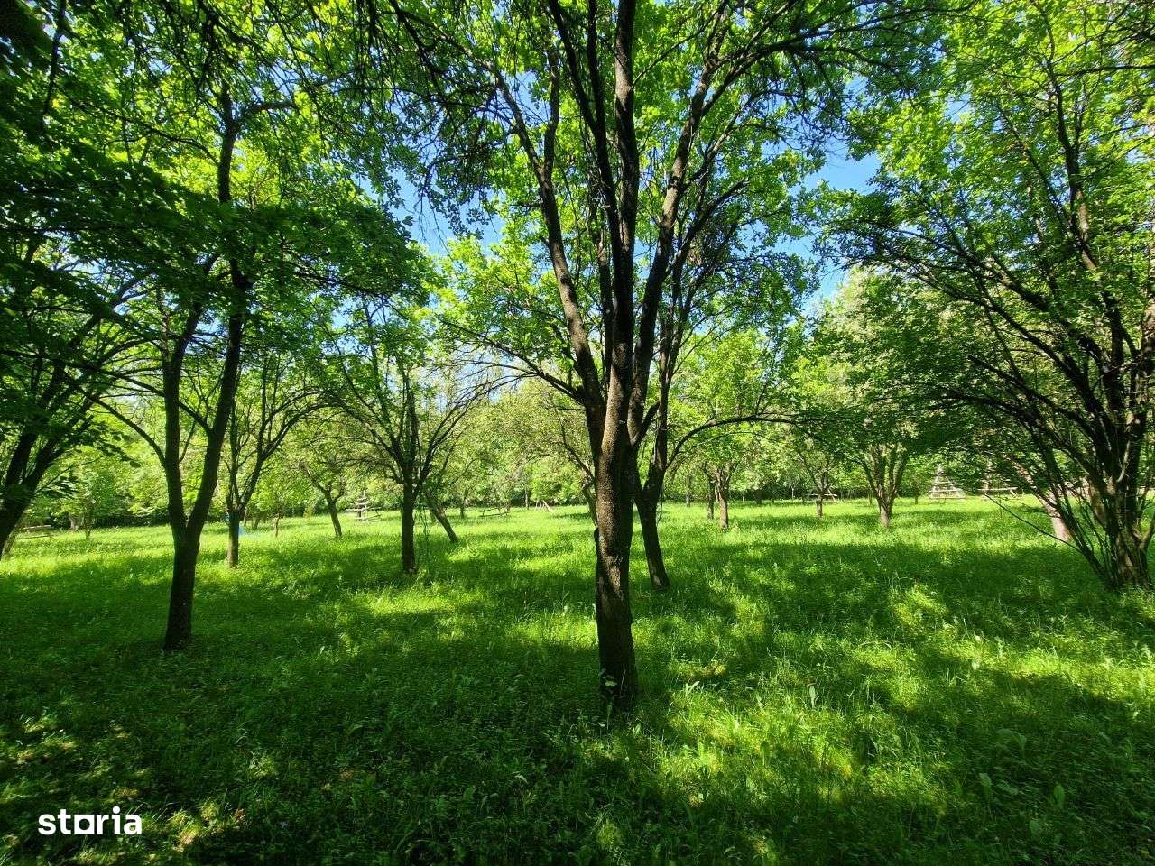 Teren intravilan Comarnic cartier Podul lung langa padure-17