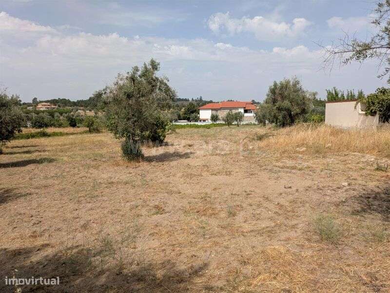Terreno / Gouveia, Vila Nova de Tazem - Grande imagem: 5/5