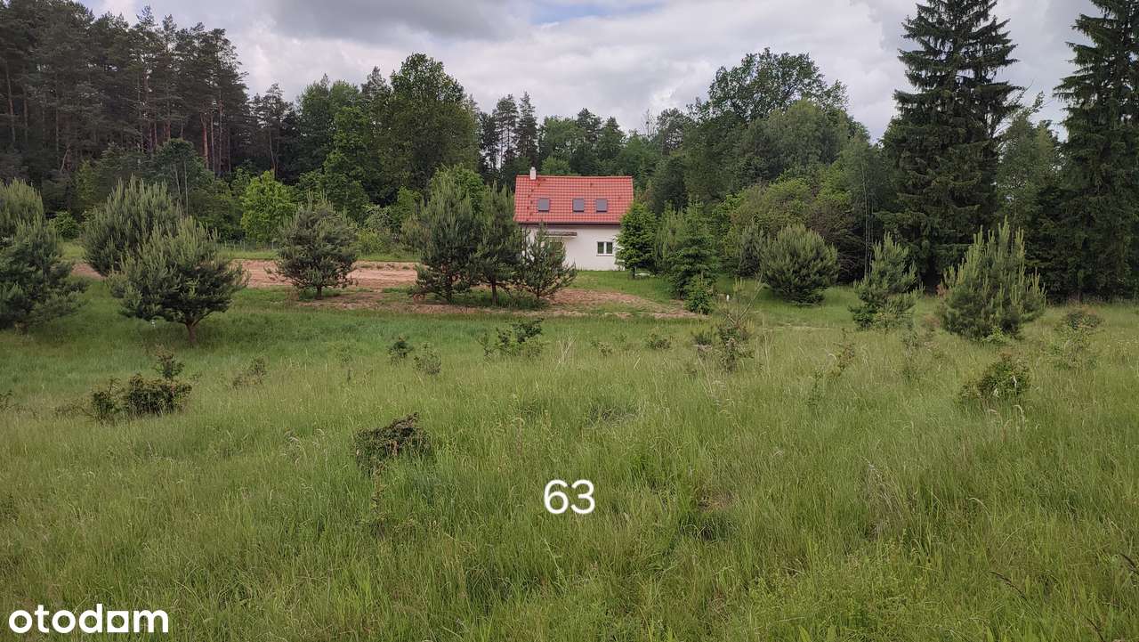 Kaborno Olsztyn 10min budowlana puszcza - Pełny obrazek: 5/17