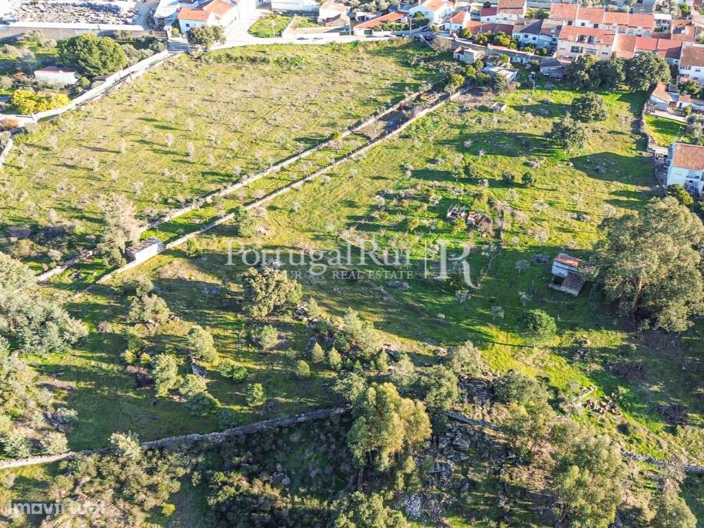 Quinta com 1,47 hectares em Alcains - Grande imagem: 3/39