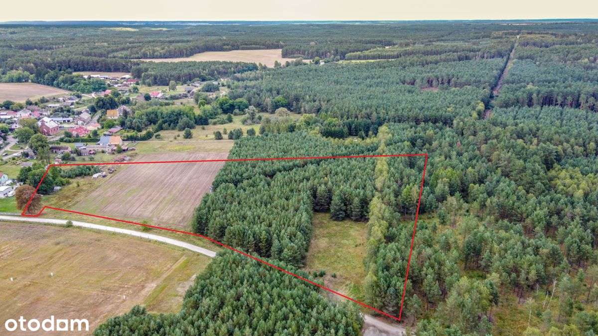 Działka 2 Ha w dobrej cenie-0