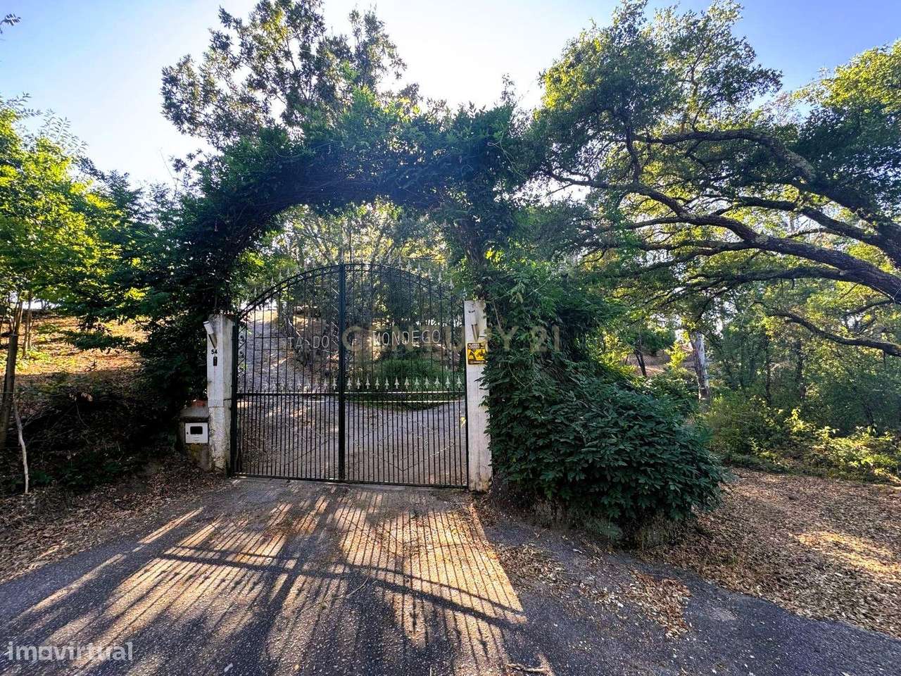 Quinta com Casa Moderna em Tábua, Coimbra com Vista Panorâmica - Grande imagem: 5/32