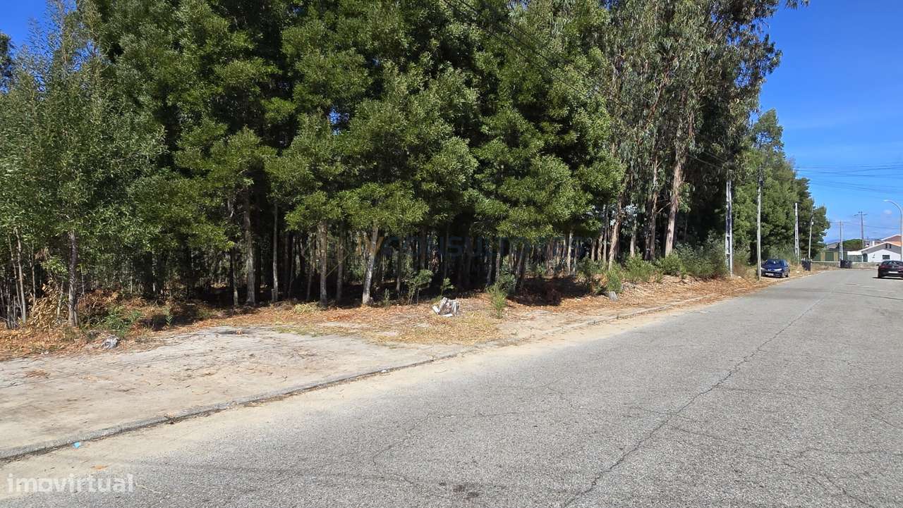 Terreno Para Construção  Venda em Beduído e Veiros,Estarreja-7