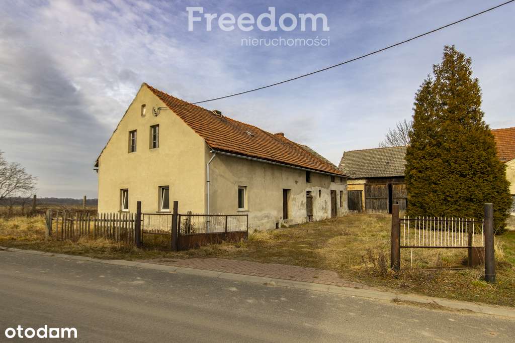 Nieruchomość z potencjałem – Grabina - Pełny obrazek: 5/11