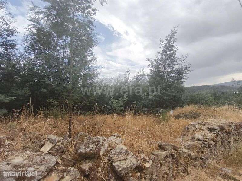 Terreno Rústico / Fundão, Silvares - Grande imagem: 4/5