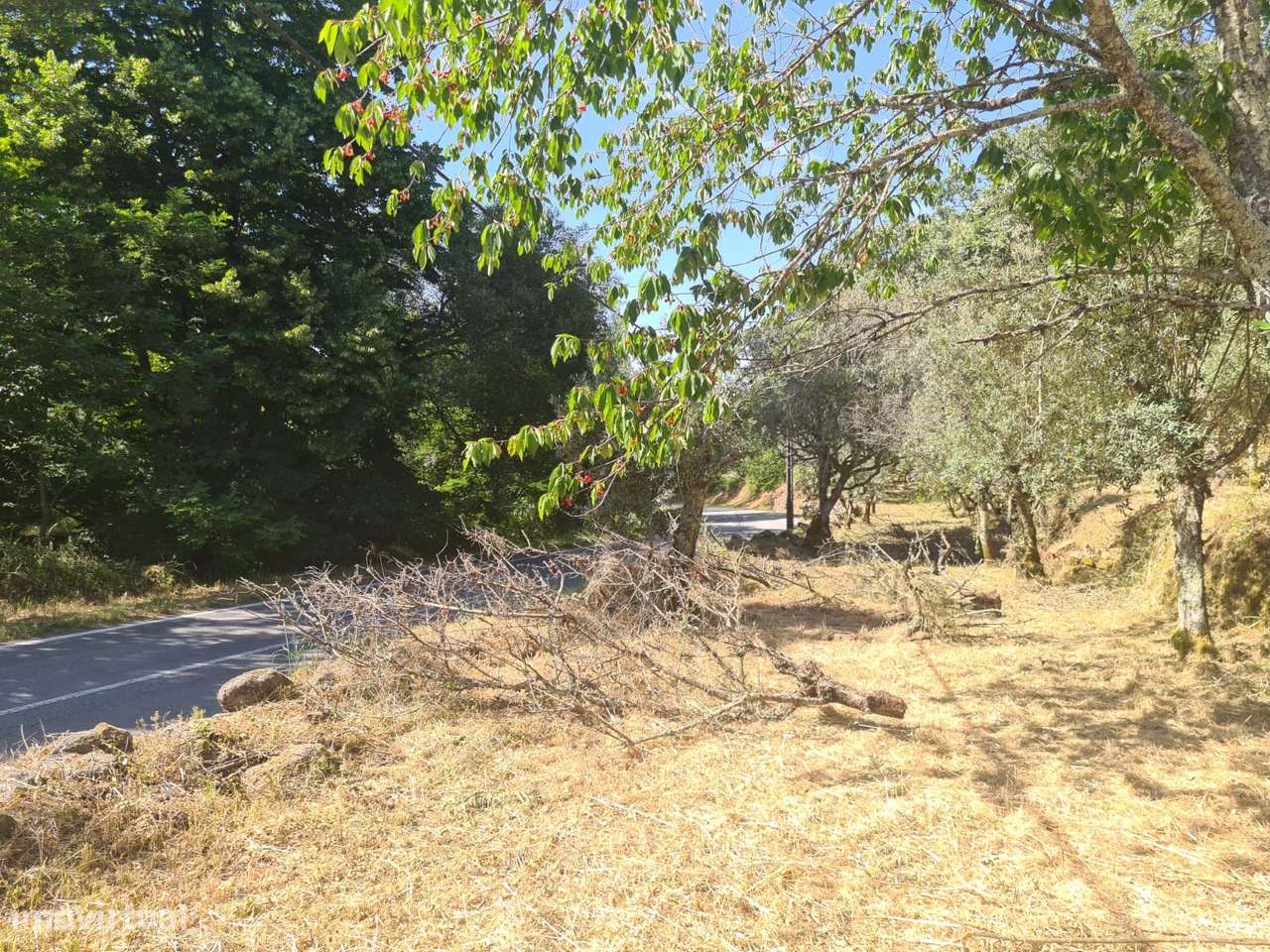 Marvão - Moradia ant. 1951 - Lote 2878 m2, Serra S. Mamede-4