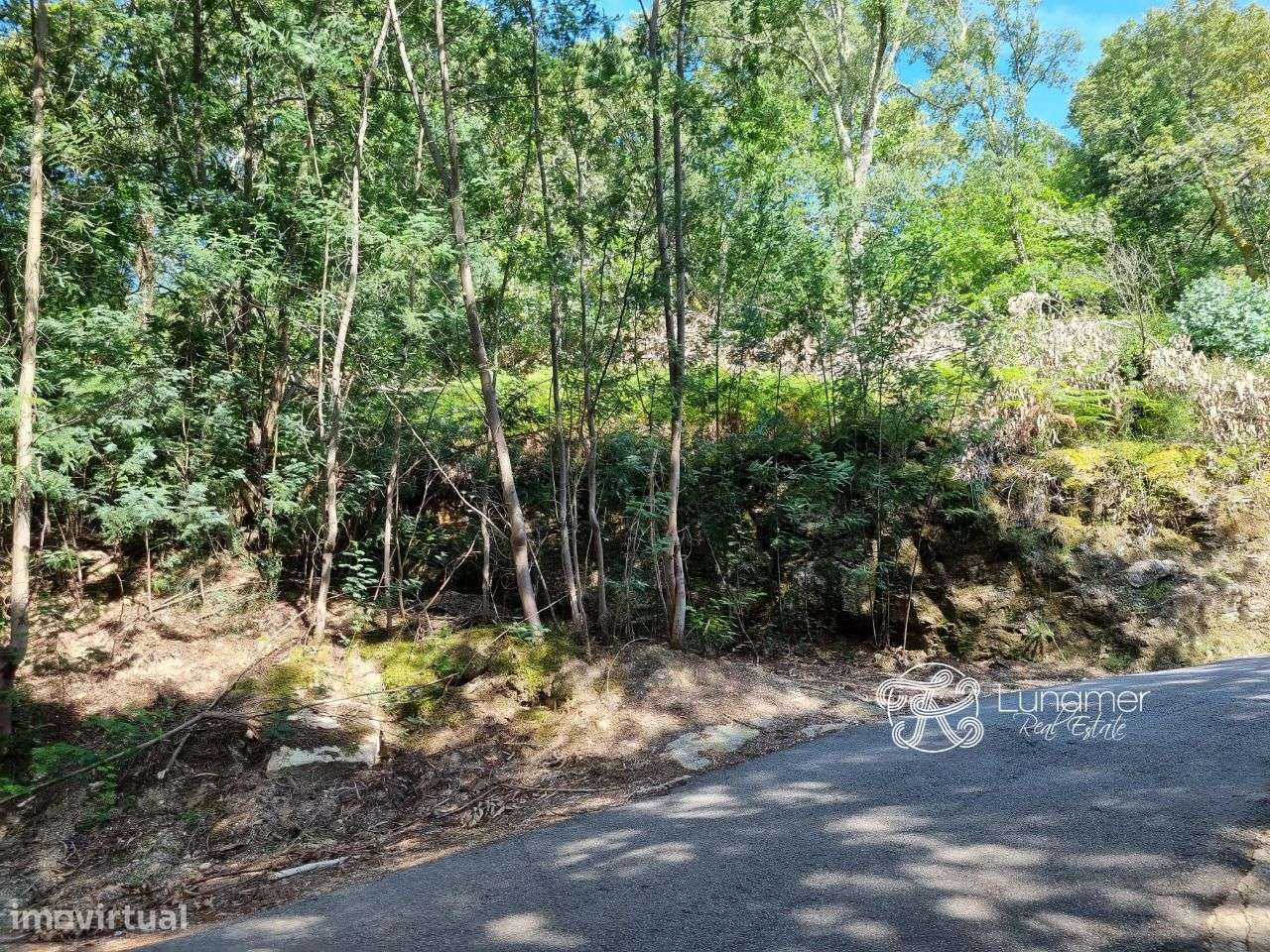 Terreno para construção com ruina, Vieira do Minho - Grande imagem: 2/25