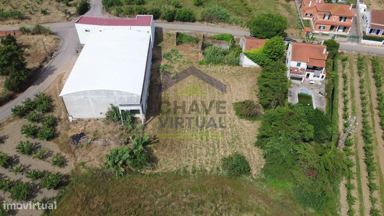 Terreno para Construção Delgada - Bombarral-17