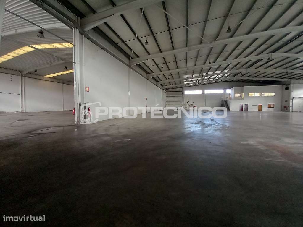 Armazém c/ 1000m2 - Z. I. Albergaria-a-Velha - Grande imagem: 5/23