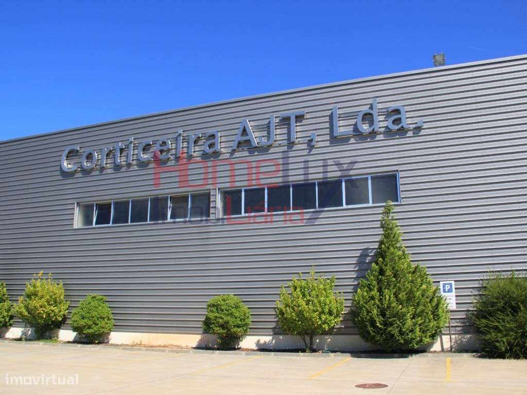 Corticeira para venda em Gavião, Portalegre - Grande imagem: 4/60