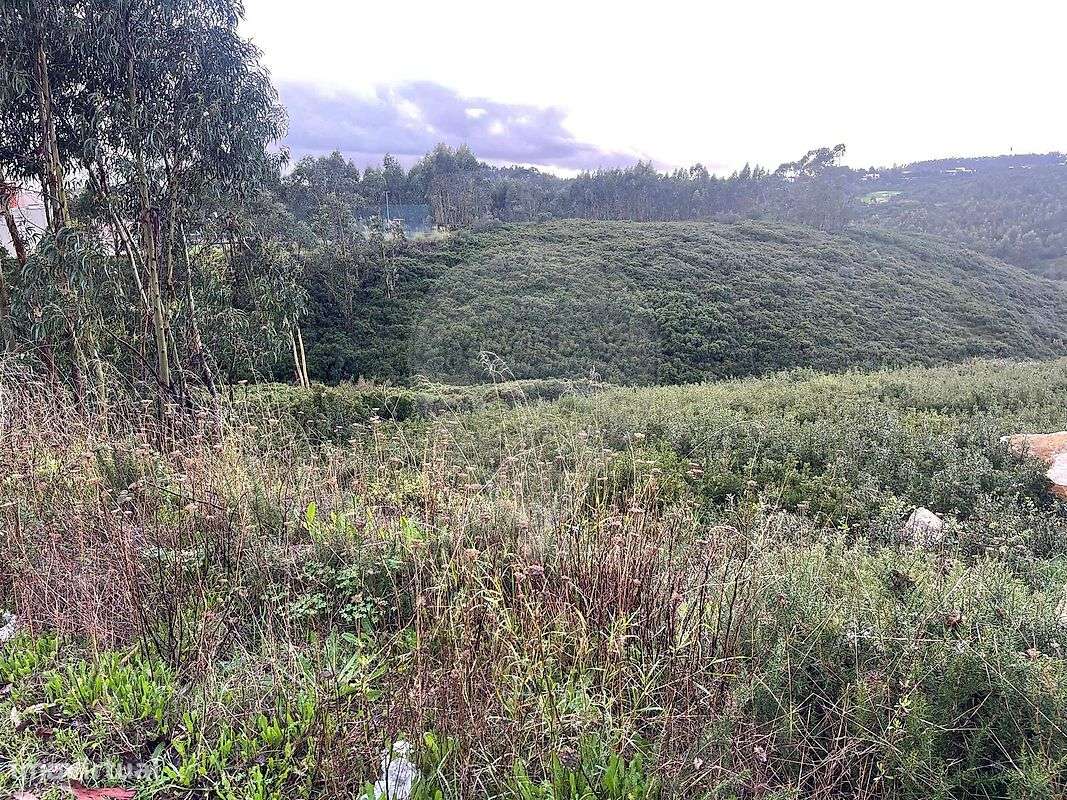 Terreno  para venda - Grande imagem: 4/6