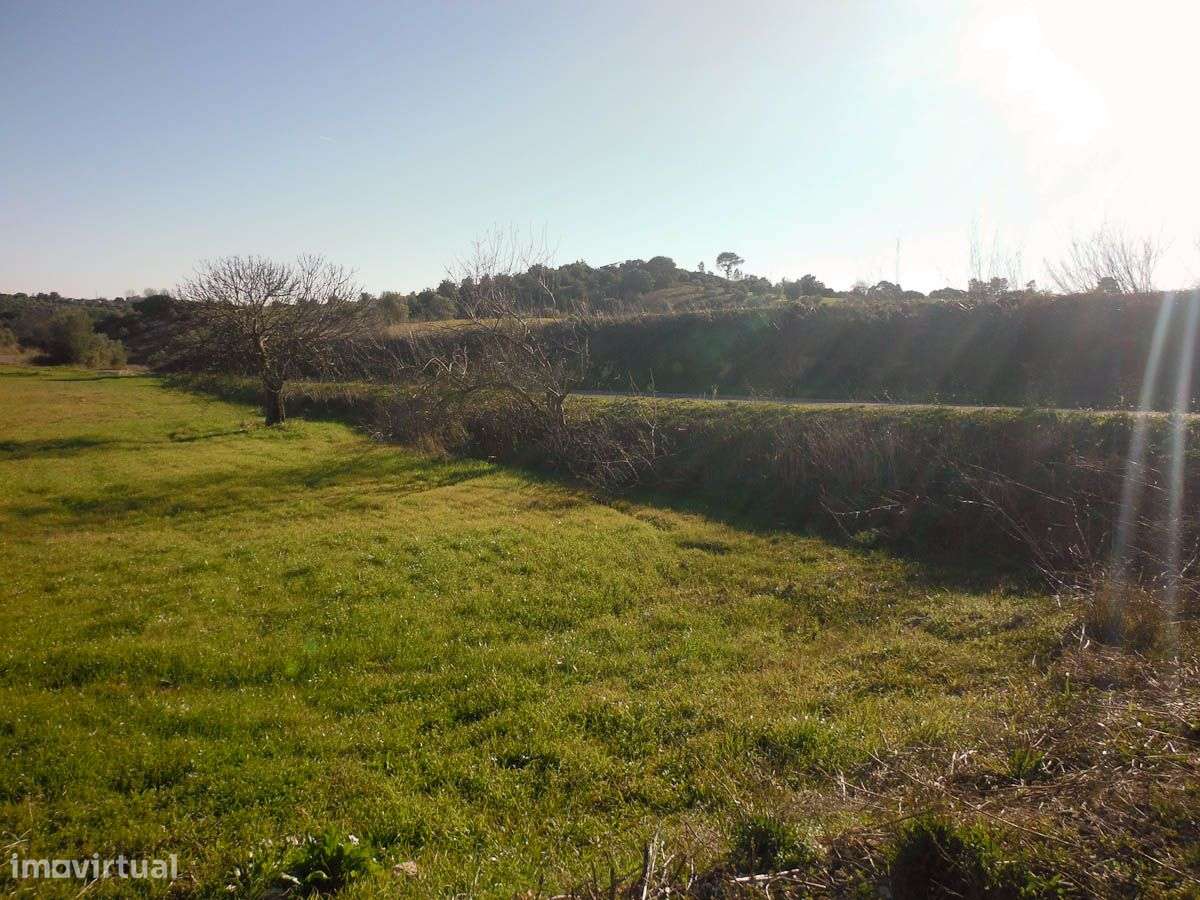 Terreno Rústico - Grande imagem: 5/8