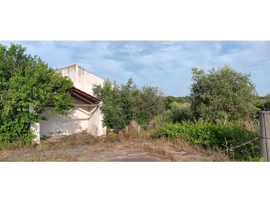 Magnífico Terreno com Viabilidade de Construção no Centro de Mação-14