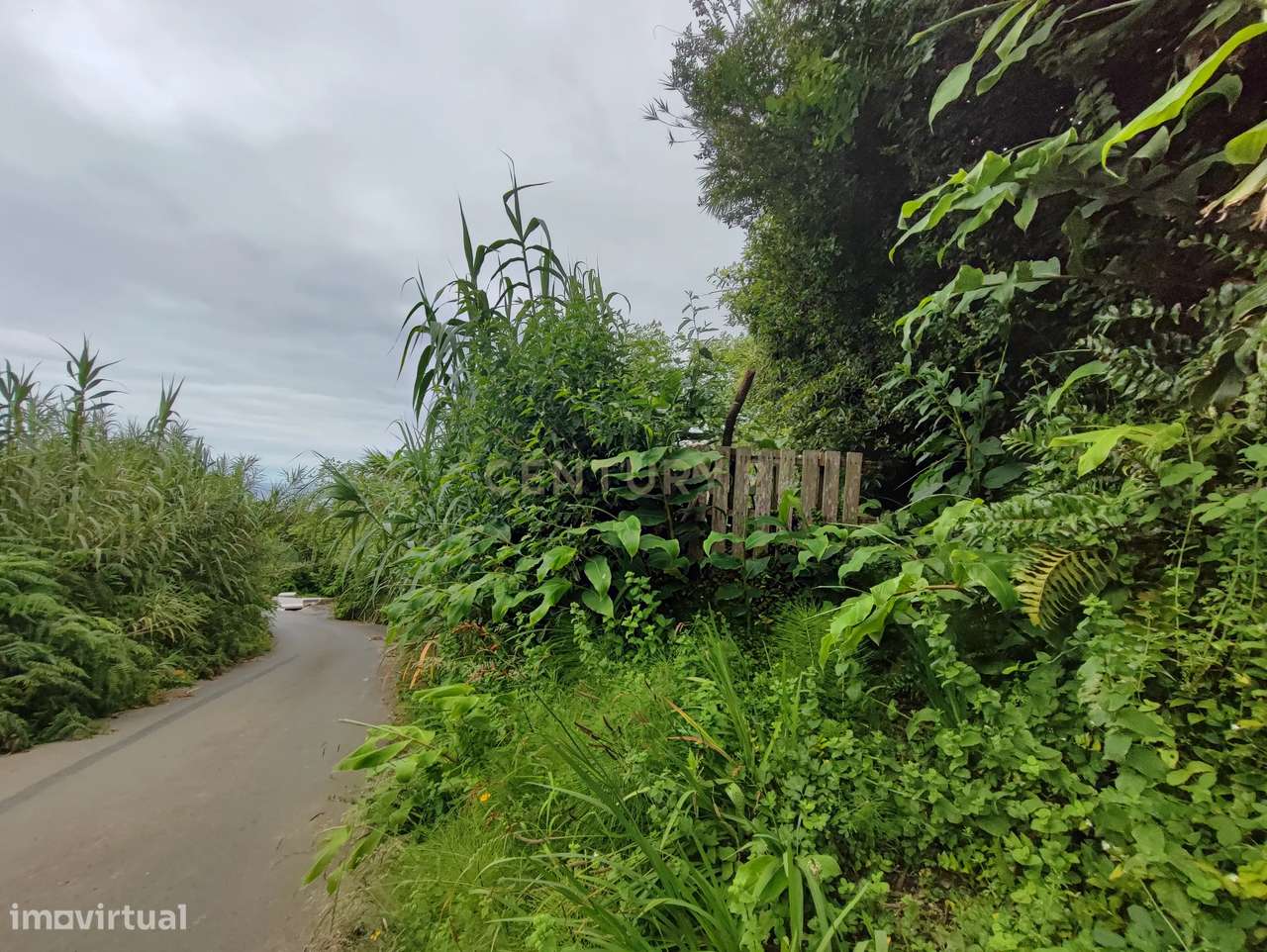 Terreno Rústico - Grande imagem: 3/12