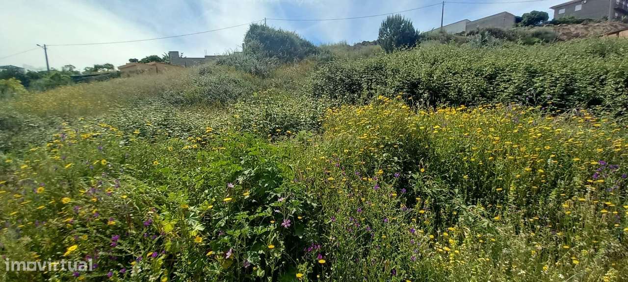 Terreno Rustico com 643 m2 - Grande imagem: 3/8