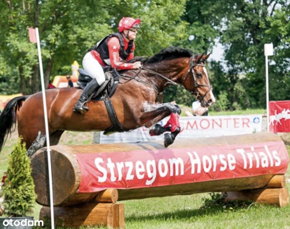 Działka budowlana Przyłęgów - BEZ PROWIZJI-9