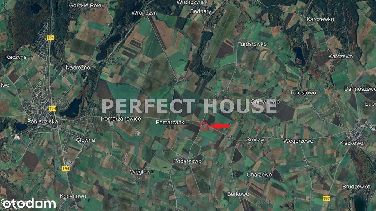 Duża działka pod dom, 6 km do Pobiedzisk - Pełny obrazek: 4/7