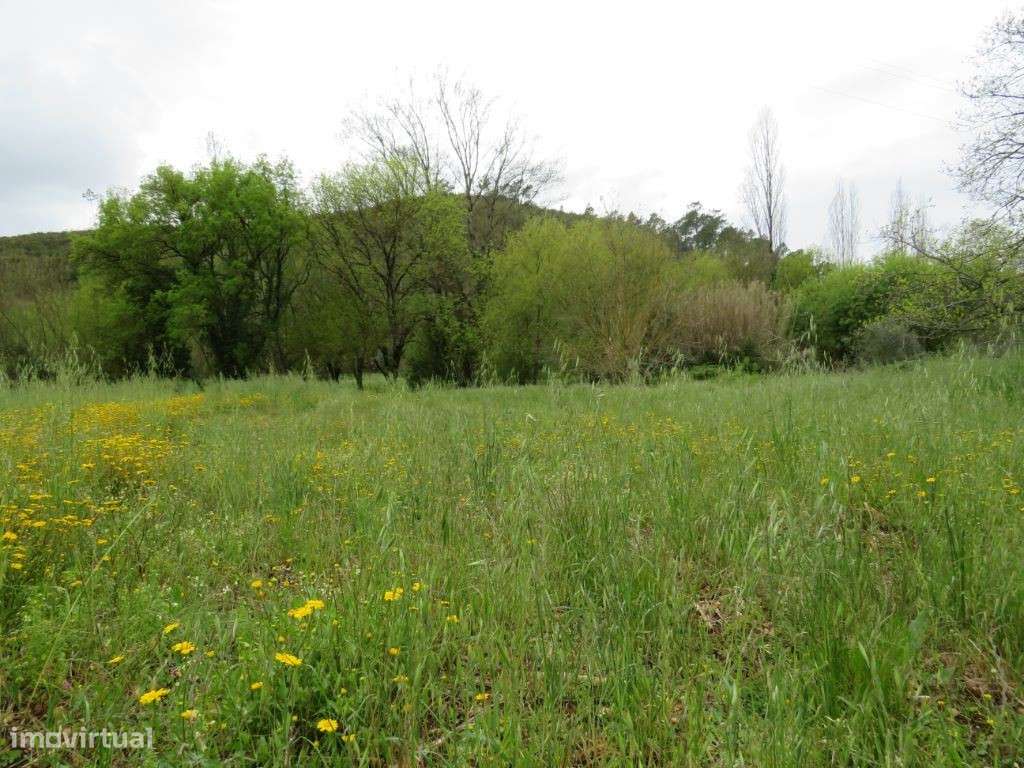 0003 - Grande imagem: 2/7