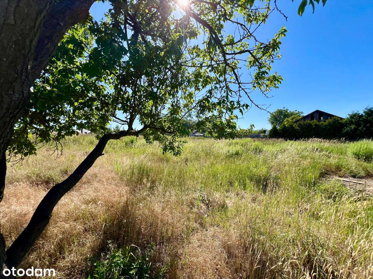 Oferta również dla Inwestora 3905 m2 w Grzędzicach - Pełny obrazek: 2/9