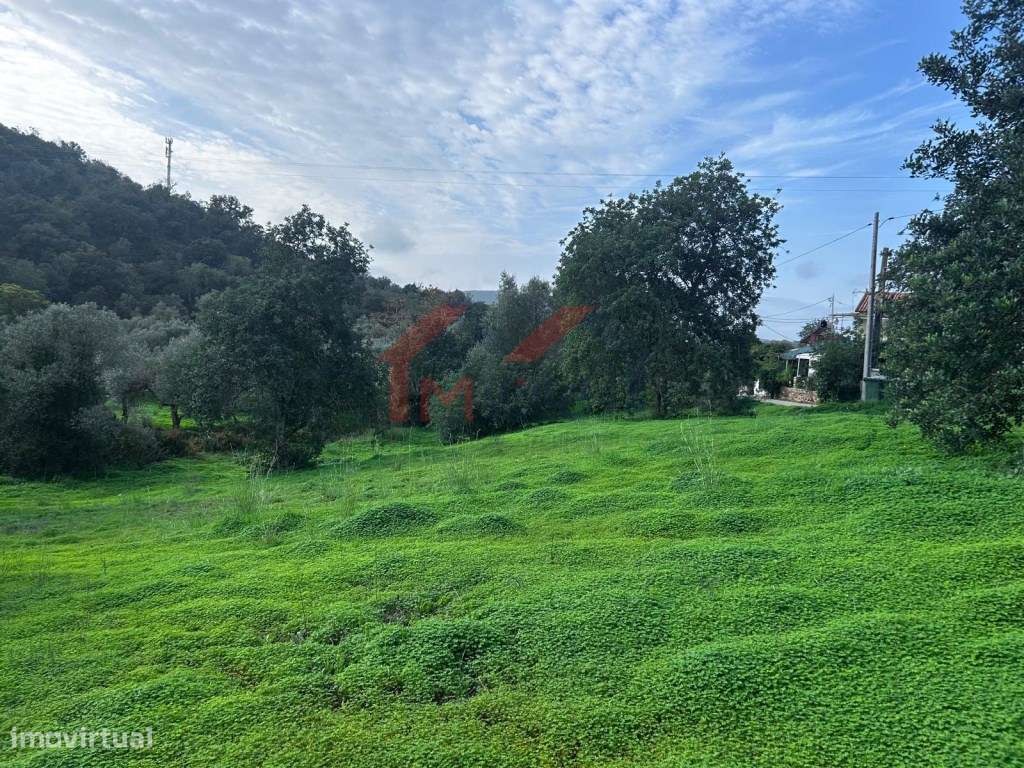 Terreno urbano com vista campo - Salir - Grande imagem: 4/8