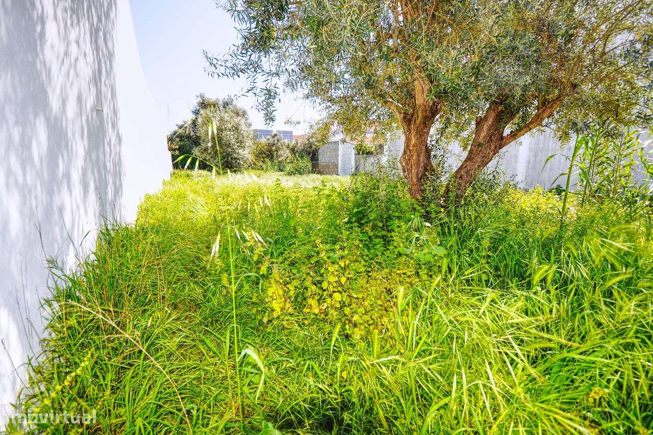 Terreno em Ermidas Sado-0