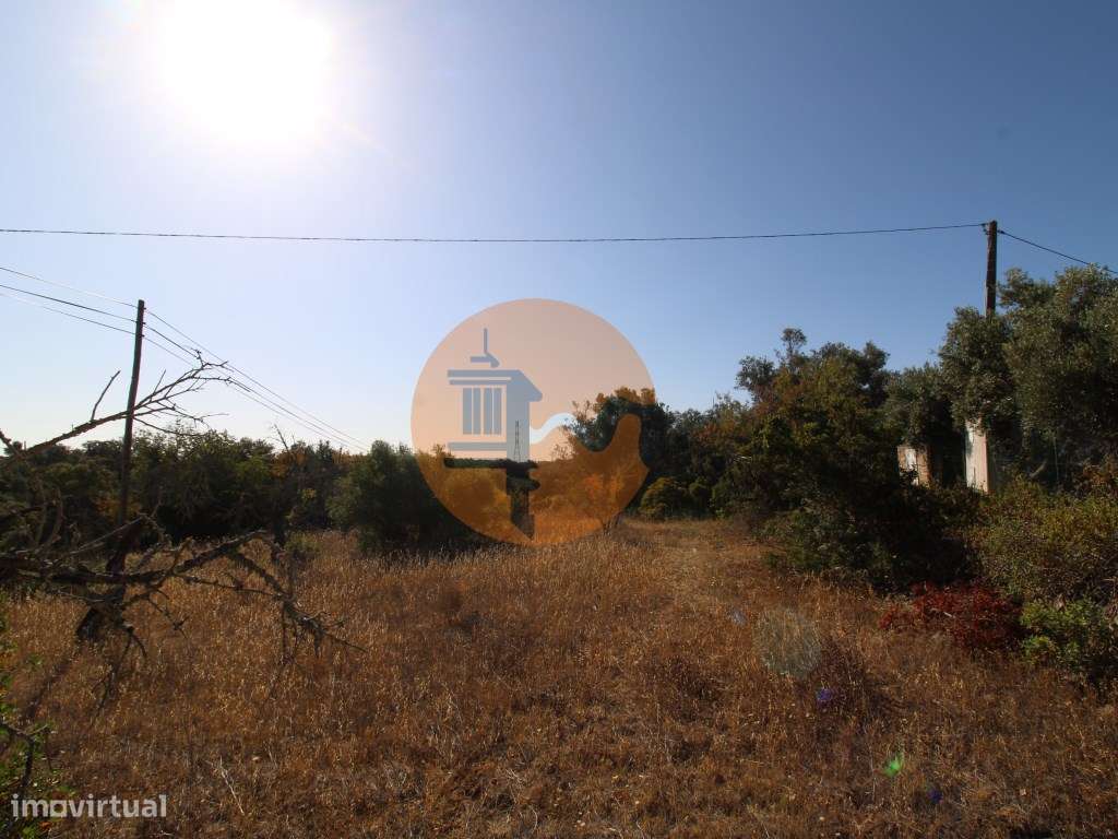Terreno rústico com 1.600 m2 - Grande imagem: 1/11
