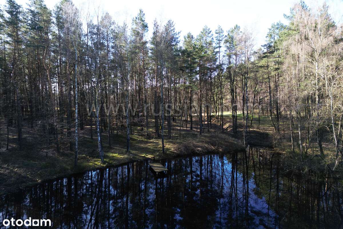 Leśna Polana z Wz. - Pełny obrazek: 5/5