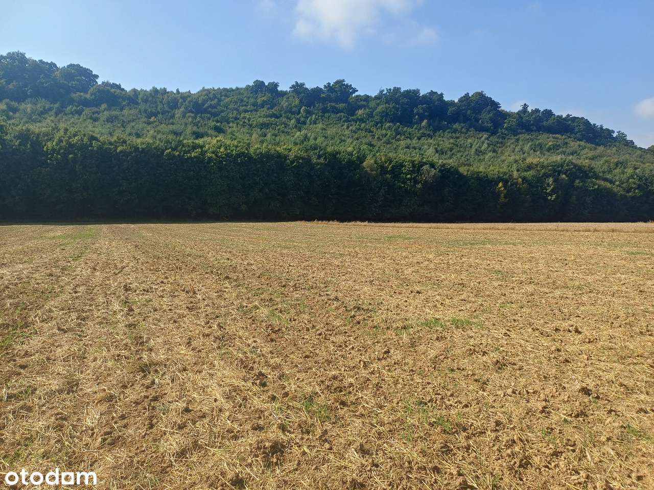 Działki rolne na sprzedaż - Klonów, gm. Racławice-2