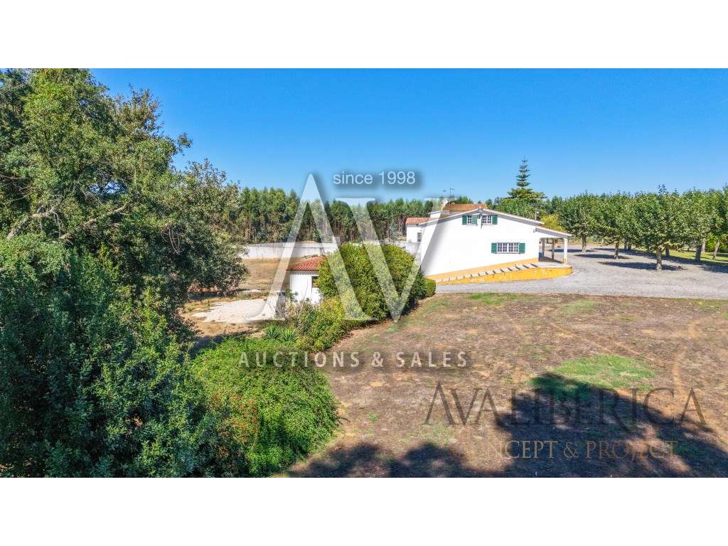 Quinta com 3,14 Hectares e Piscina | Ferreira do Zêzere-54