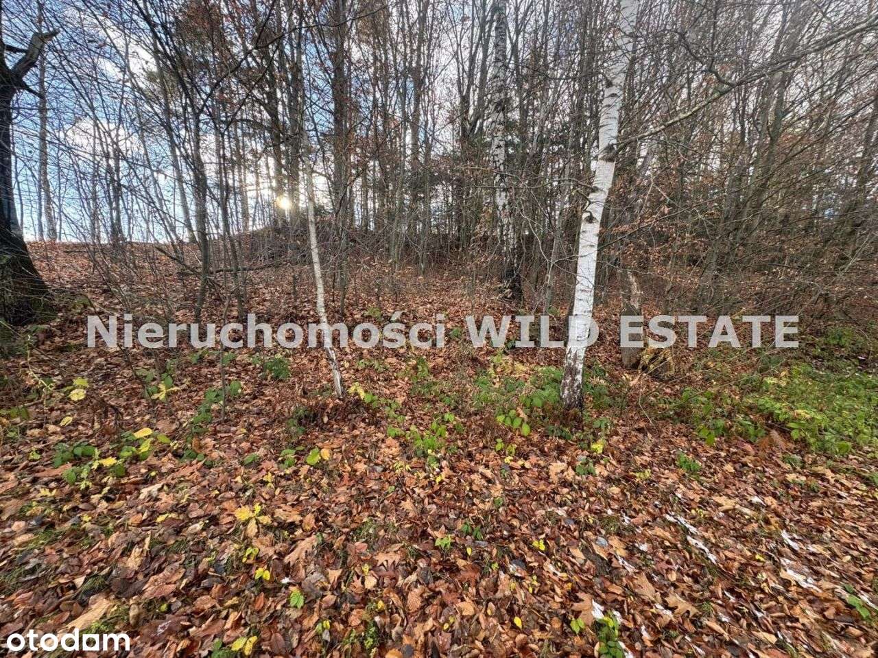 Działka, 1 679 m², Uherce Mineralne-3