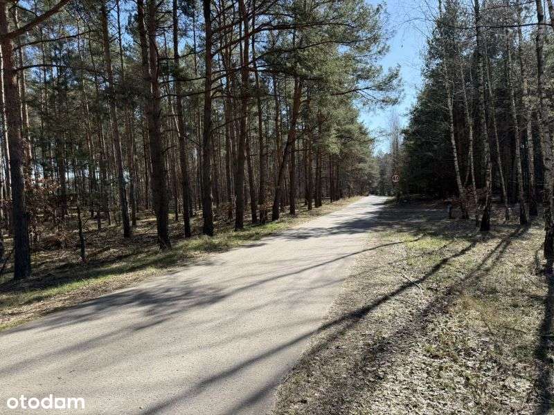 Działka z możliwością zabudowy blisko Gostynina - Pełny obrazek: 5/13