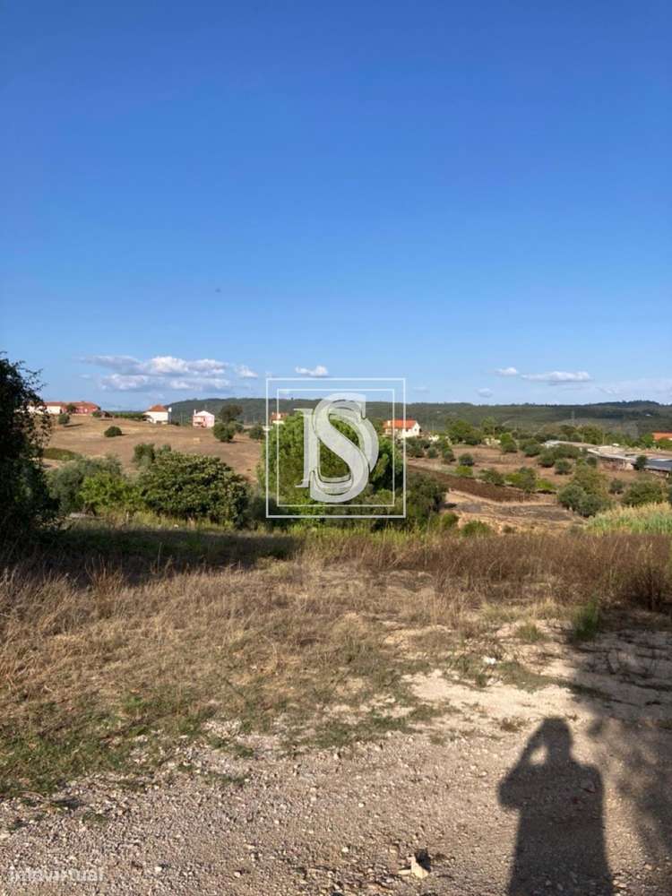 Moradia Isolada T3 em UDF de Tomar (São João Baptista) e Santa Maria d - Grande imagem: 5/10