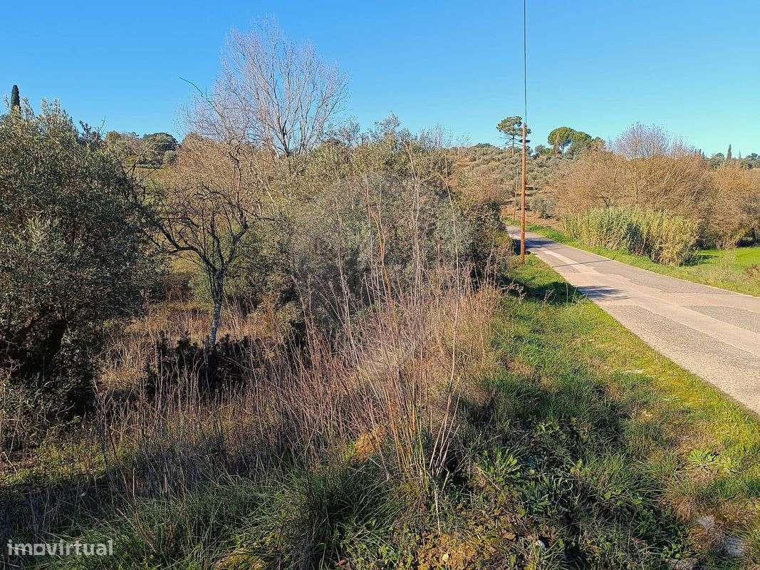 Terreno  para venda - Grande imagem: 5/5