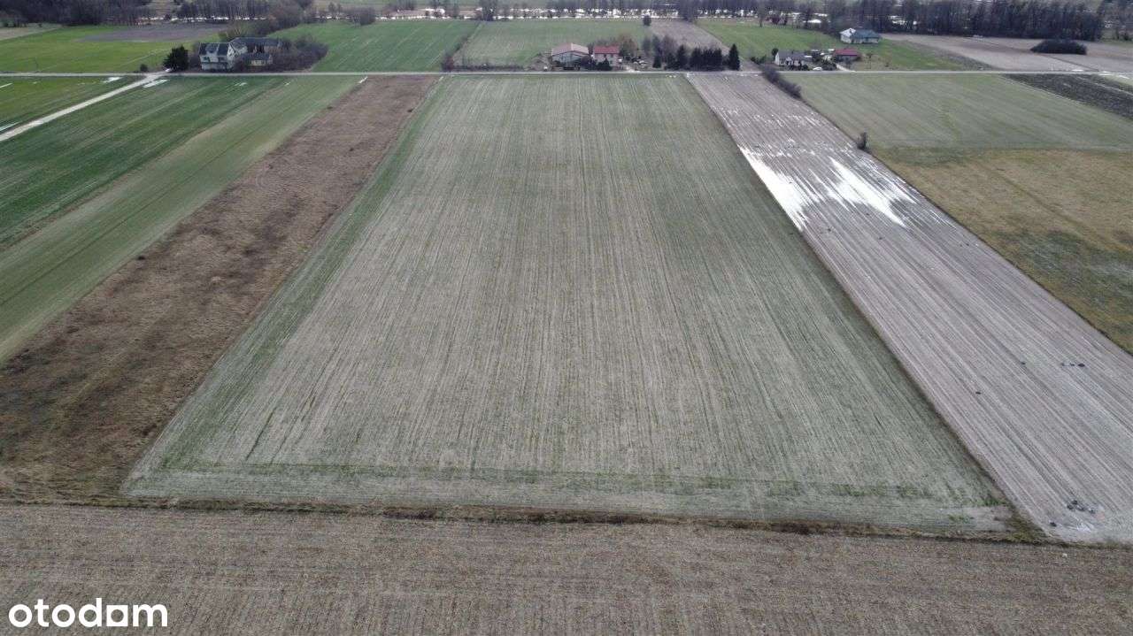 Działka w m. Proboszczewice gm. Joniec - Pełny obrazek: 4/10