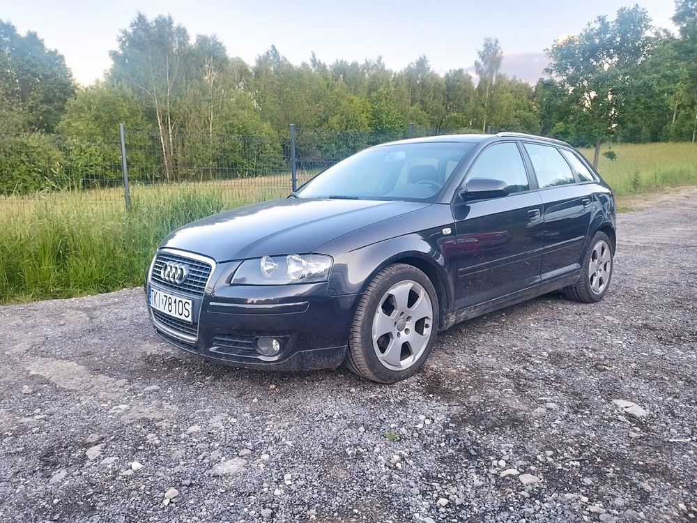 Audi A3 8P 2.0 TDI DPF Attraction 2007