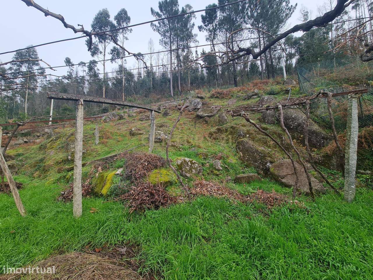TERRENO RÚSTICO, PENAFIEL, CAPELA (apenas venda conjunta com a referên-4