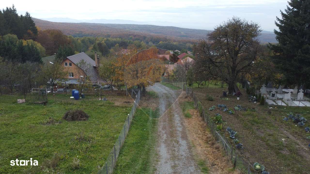 Teren de vanzare în Faget 1542 mp cu panorama-13