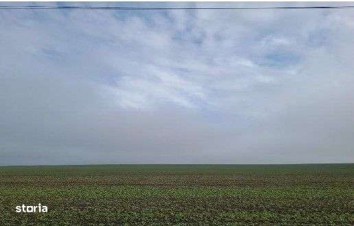 Teren extravilan Orbeasca, ID: R2836912-0